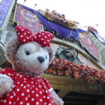 ディズニーシーへ行ってきました＆ダッフィー君のお迎え