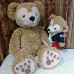 Ｍサイズ ダッフィー君をお迎えしました。