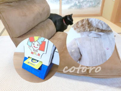 クルクルふりかけガチャ♪