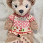 シェリーメイちゃんをお迎えしました