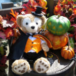 ハロウィーン☆投稿作品（写真）の紹介 第三弾☆去年（2014年）分