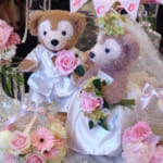 ウェルカムドール☆投稿作品（写真）の紹介 第三弾☆2014年（下半期）～2015年